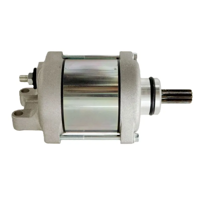 Motor de arranque 21163-0771,  - Motorcycle Starter Motor reseña y precio