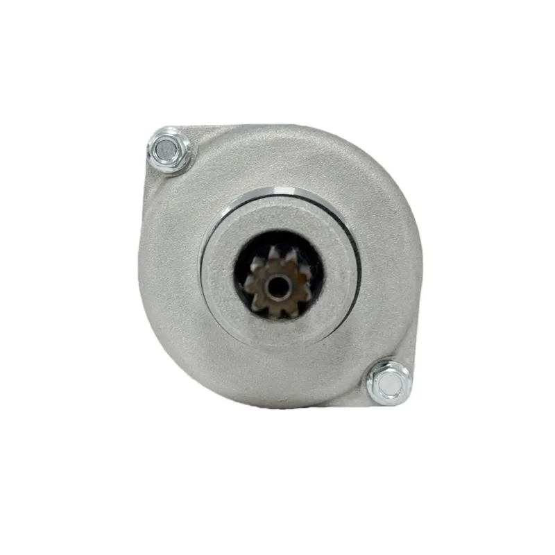 Motor de arranque 21163-0771,  - Motorcycle Starter Motor reseña y precio